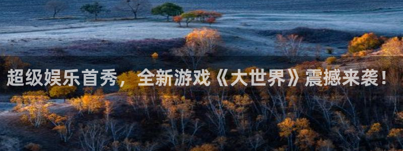 琳琅娱乐：超级娱乐首秀，全新游戏《大世界》震撼来袭！