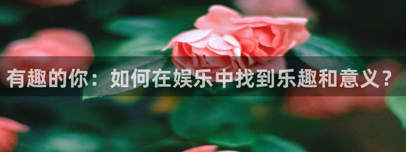 琳琅娱乐注册：有趣的你：如何在娱乐中找到乐趣和意义？