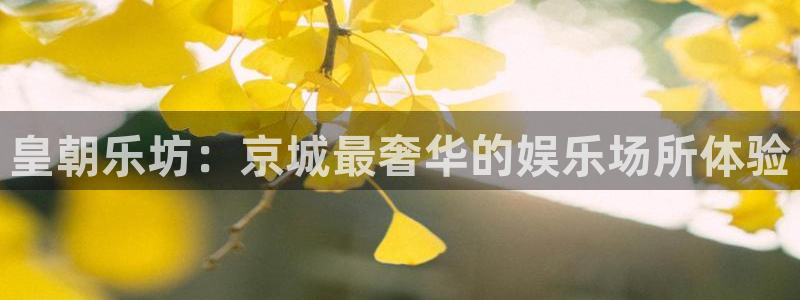 琳琅娱乐注册