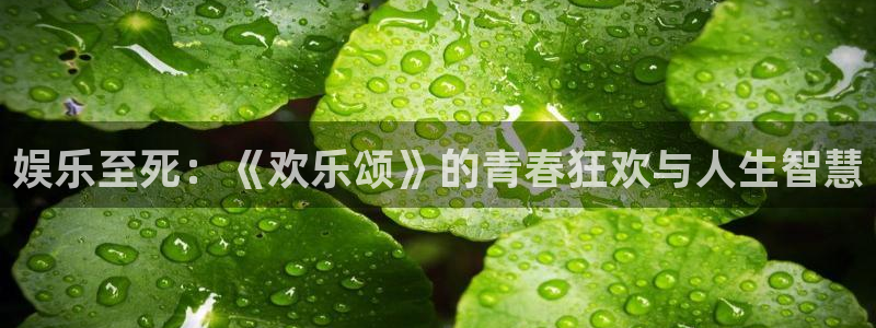 琳琅娱乐注册：娱乐至死：《欢乐颂》的青春狂欢与人生智慧