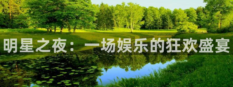 琳琅娱乐注册：明星之夜：一场娱乐的狂欢盛宴